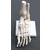 Life Size Foot Joint Anatomical Model Skeleton