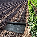 Heavy Duty Weed Control PP Woven Fabric Weed Mat Gardening Plant 30 x 1.83m