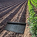 Heavy Duty Weed Control PP Woven Fabric Weed Mat Gardening Plant 20 x 0.92m