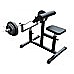 Preacher Curl Bench Weights Commercial Bicep Arms