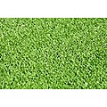 20mm Synthetic Artificial Grass Turf - 10m