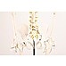 Human Skeleton Anatomical Model 180cm
